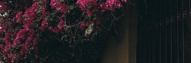 f5_sh's profile banner image