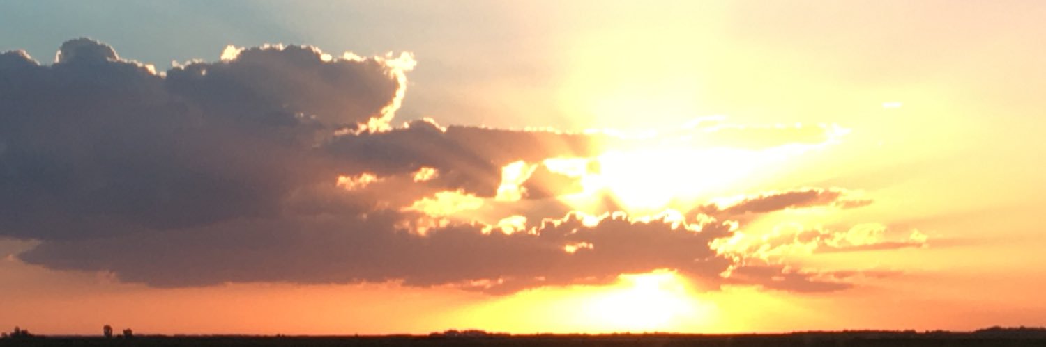 EveeEve's profile banner image
