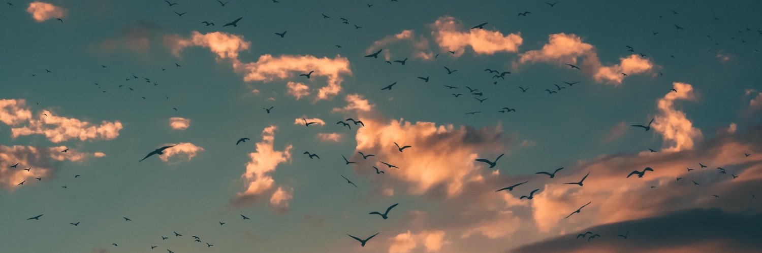 Crszmn's profile banner image