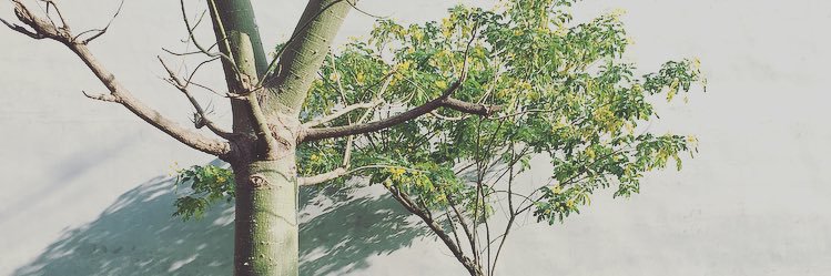 xiaojun008's profile banner image