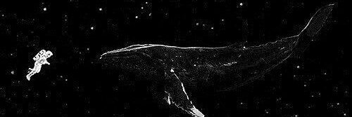 aHigh_flier's profile banner image