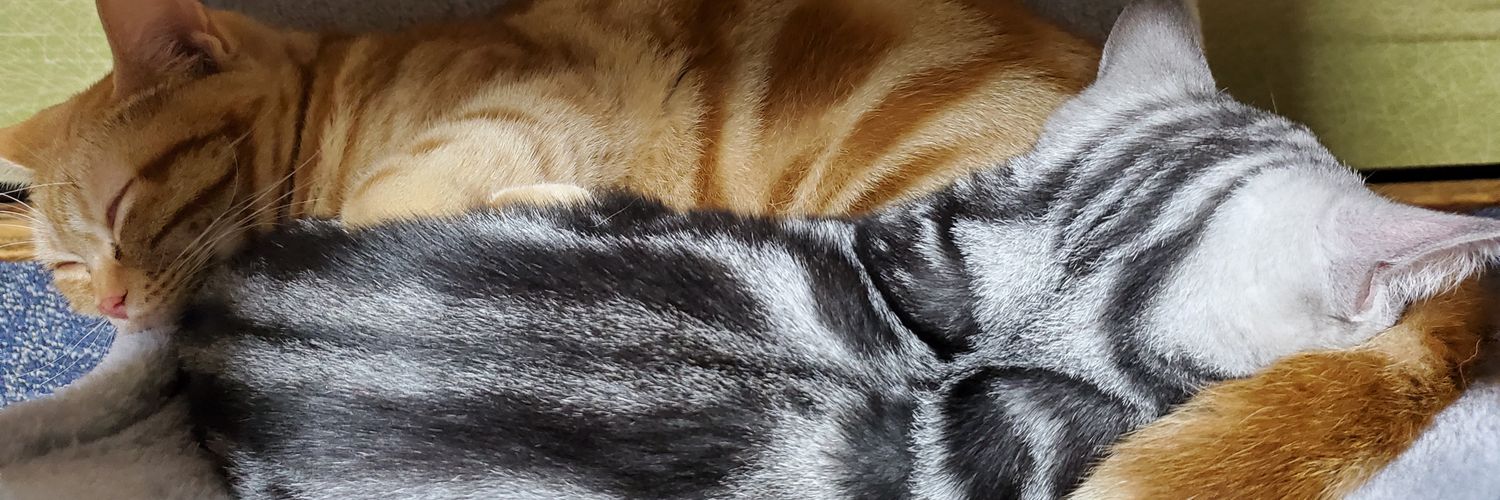 maria1046's profile banner image