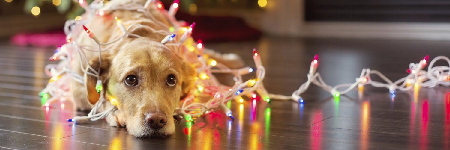 Goldstream Farmers banner