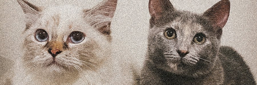 J_Filine's profile banner image