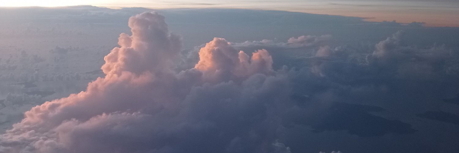 ptrprmswr's profile banner image