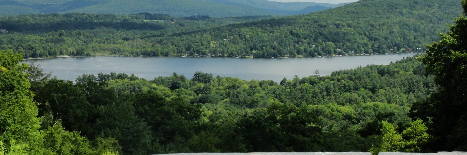 Bethany Zecher Sutton banner