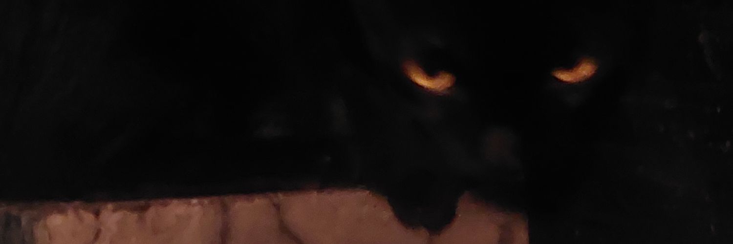 🦇 YOEL 🦇 banner