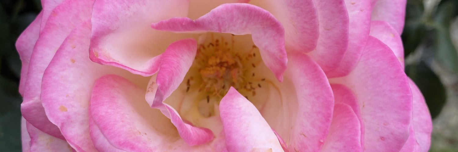 EmJordann's profile banner image