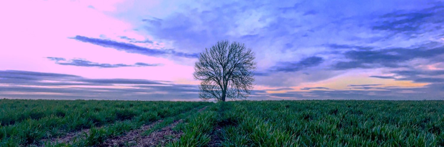 aj_whitethread's profile banner image