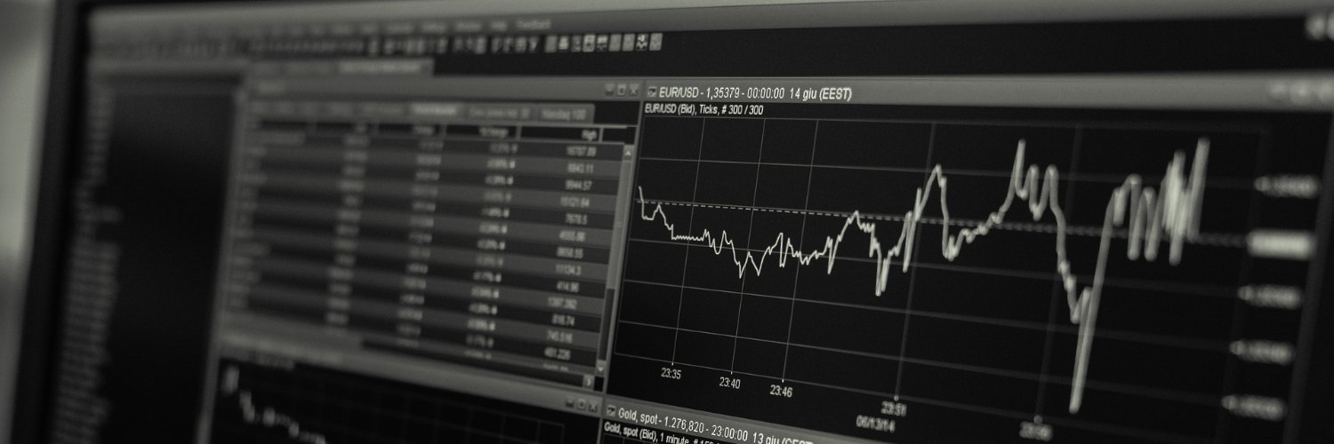 D.S | DOMAIN NAMES banner