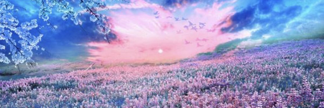 soadalattas's profile banner image