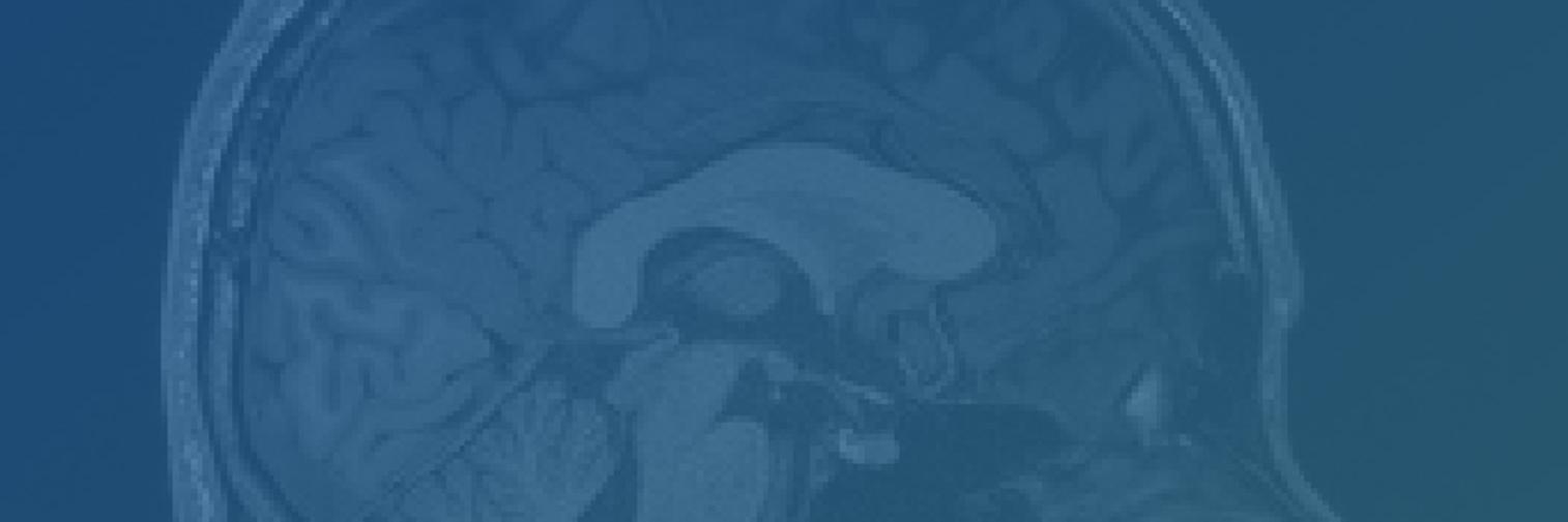 BrainIAK banner