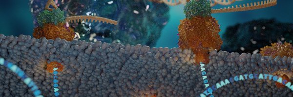 RyanBrewsterMD Profile Banner