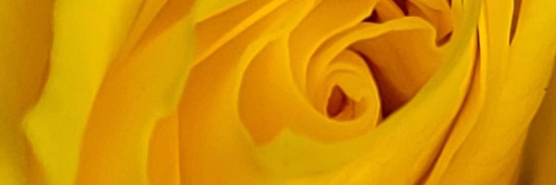 Katarzyna Skrzypek-Łukowska banner