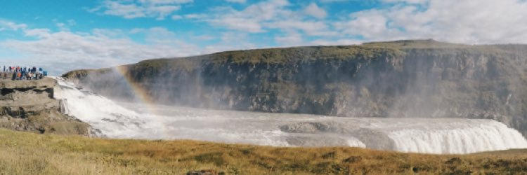 tina_aster's profile banner image