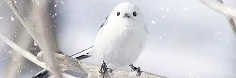 __waltz's profile banner image