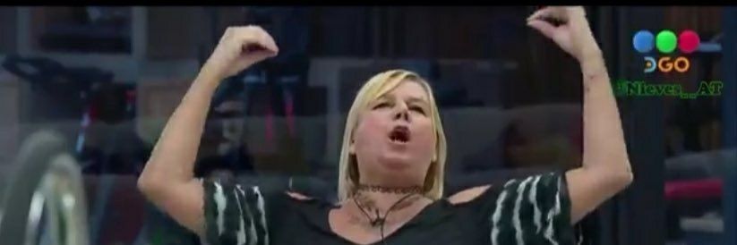 impossible princess banner