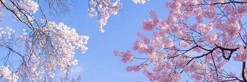 vanessa_m02's profile banner image