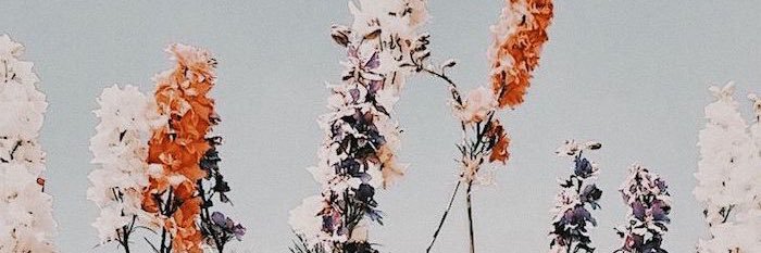 madishull's profile banner image