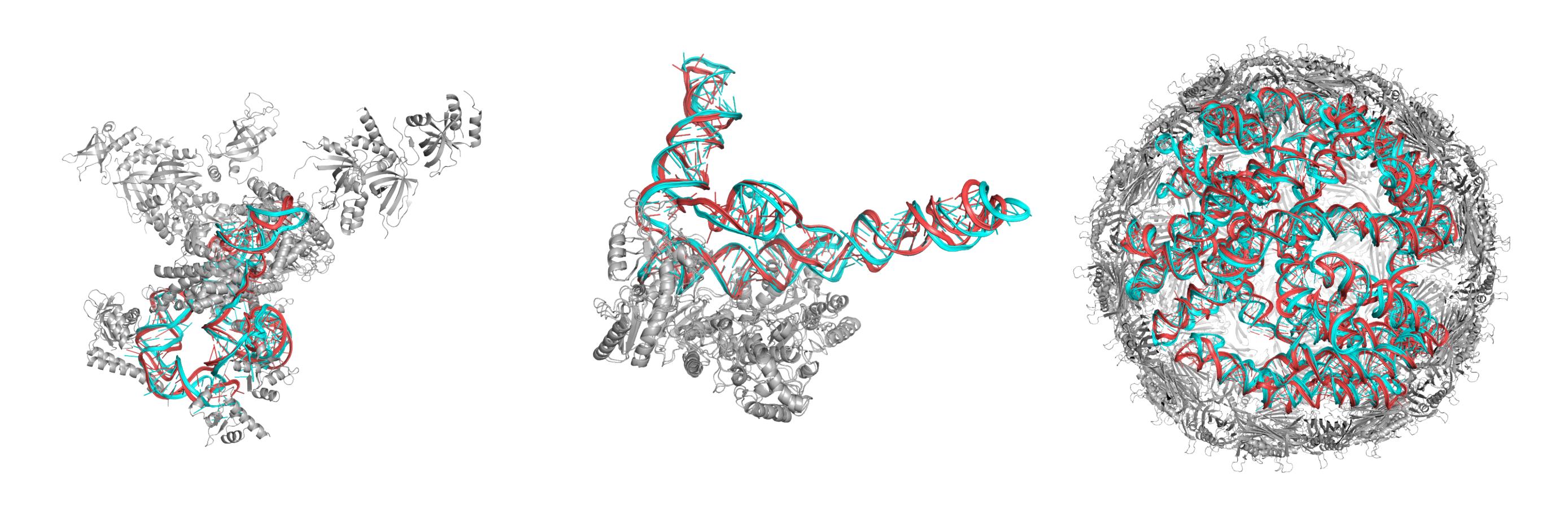 Das Lab's banner