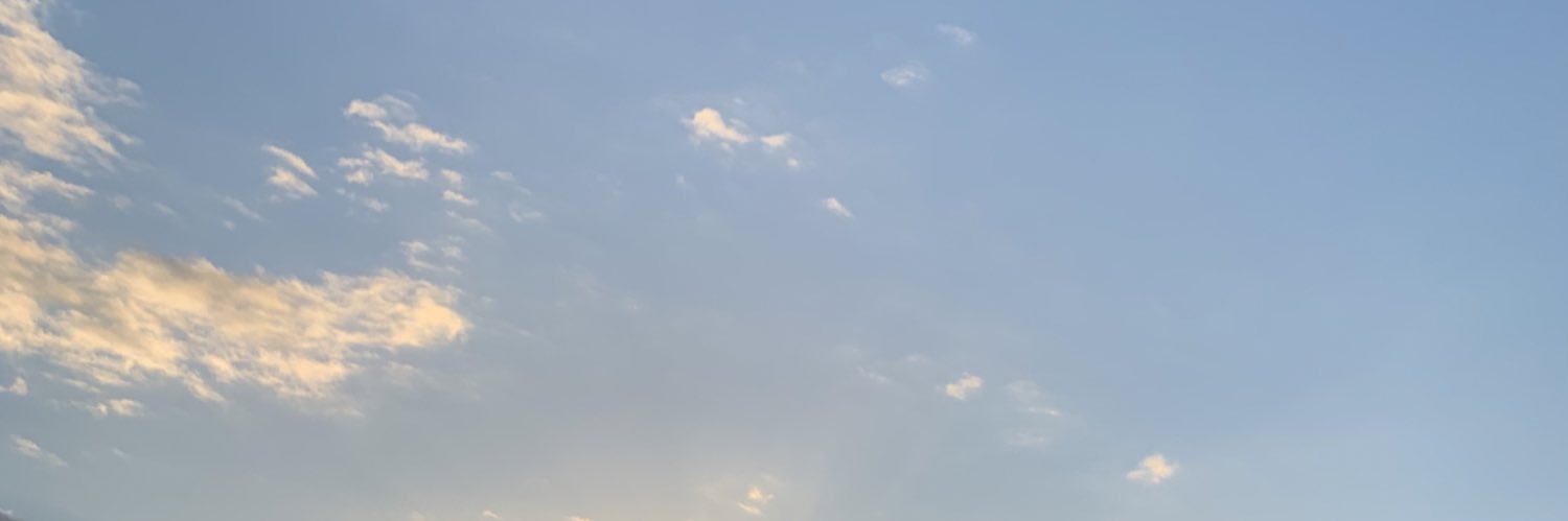 alee_aleman's profile banner image