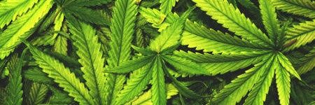 DsDroga's profile banner image
