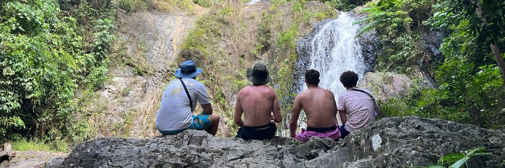 George collins banner