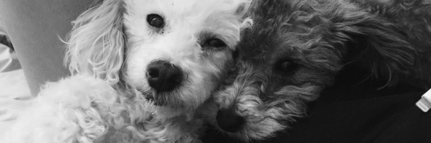 CMoncagatti's profile banner image