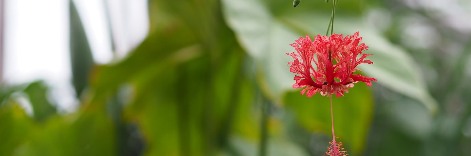 fbrycan's profile banner image