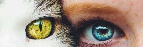 _carlossian's profile banner image