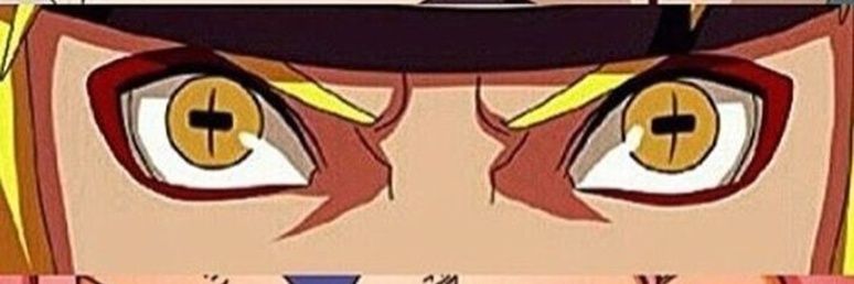 DRocco02's profile banner image