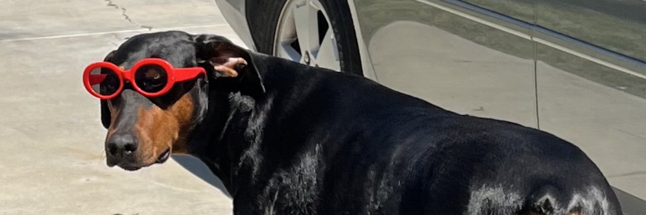 Don Chulo's banner