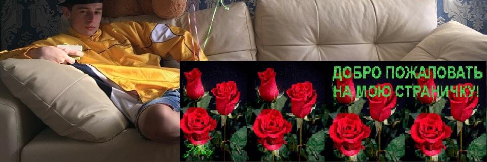NikitaCheeses's profile banner image