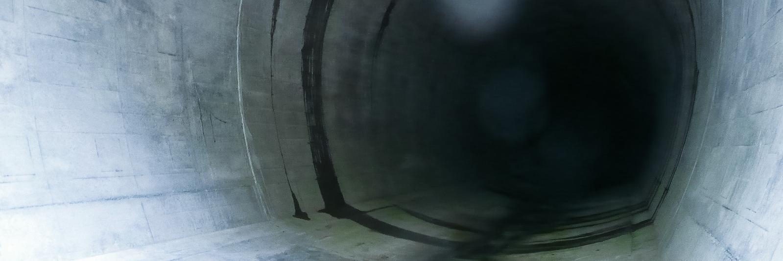 唯一🪼🐠🌟🌙 banner