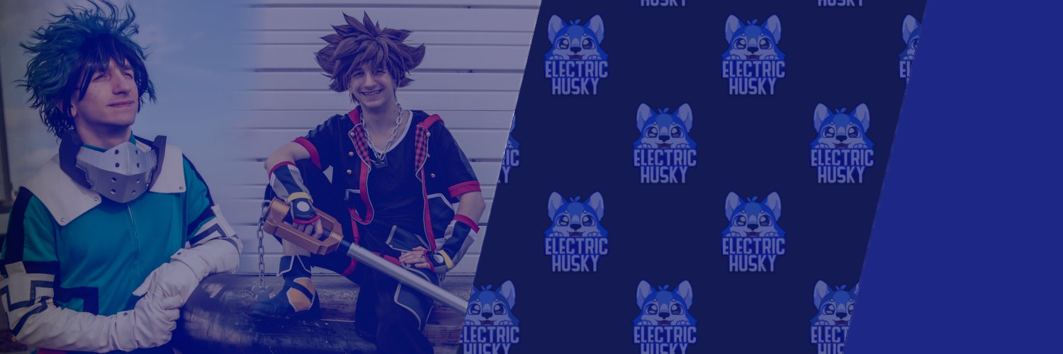 ElectricHusky_'s profile banner image