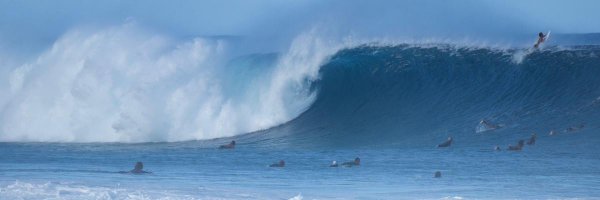 surflabo Profile Banner