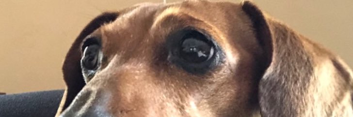fbunner's profile banner image