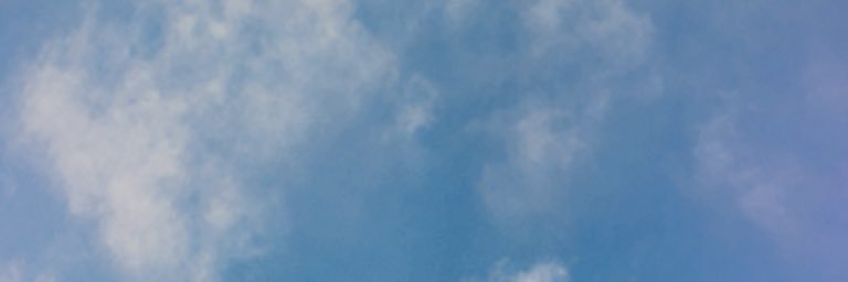 hailey jane banner