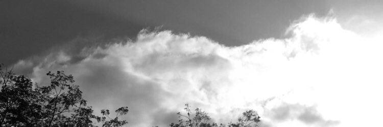niallsdiva27's profile banner image