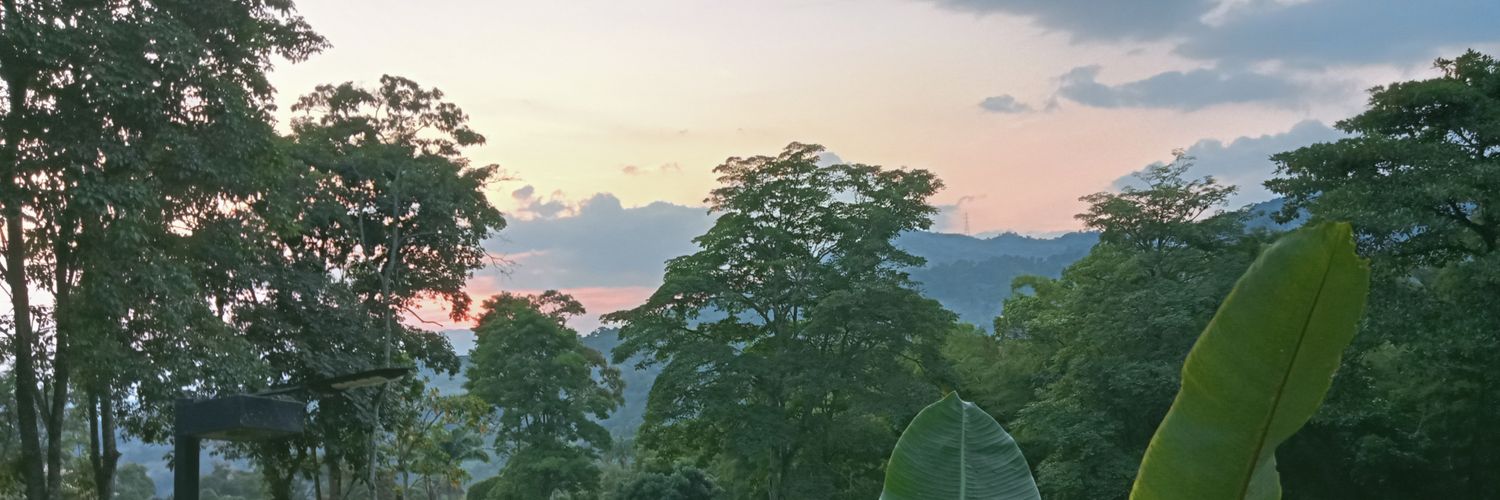 HellenMerchaan's profile banner image