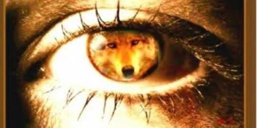 bigbadalcide's profile banner image