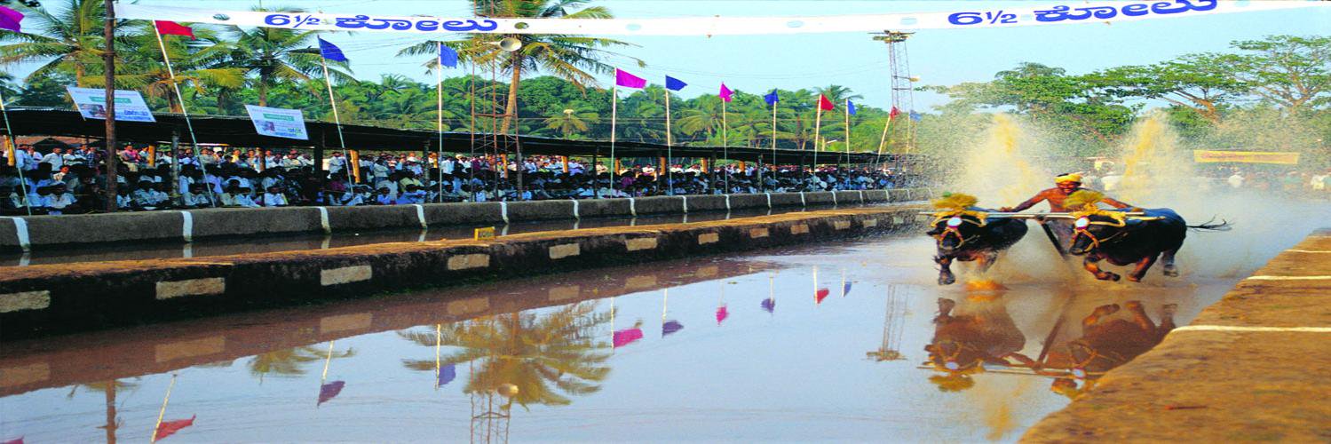 Karnataka Tourism banner
