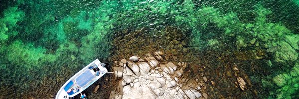 DarbiBerry Profile Banner