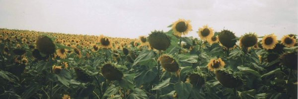 _abikaras_ Profile Banner