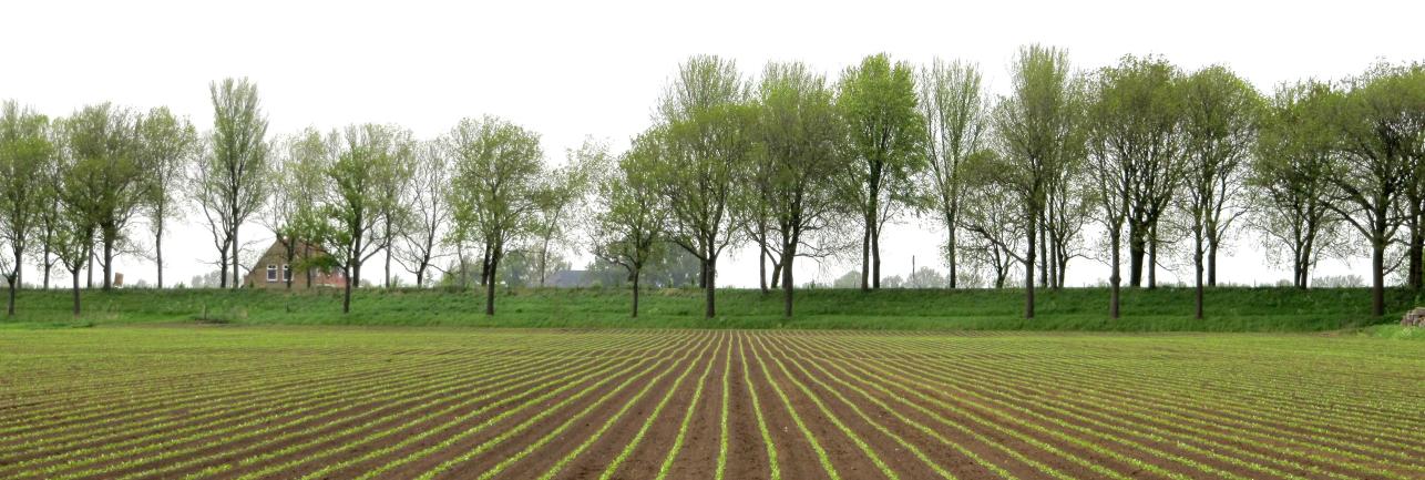 André van Valen banner