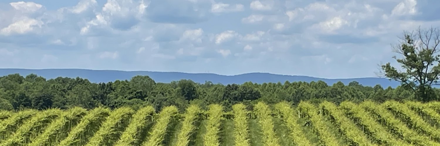 CraigMauro's profile banner image