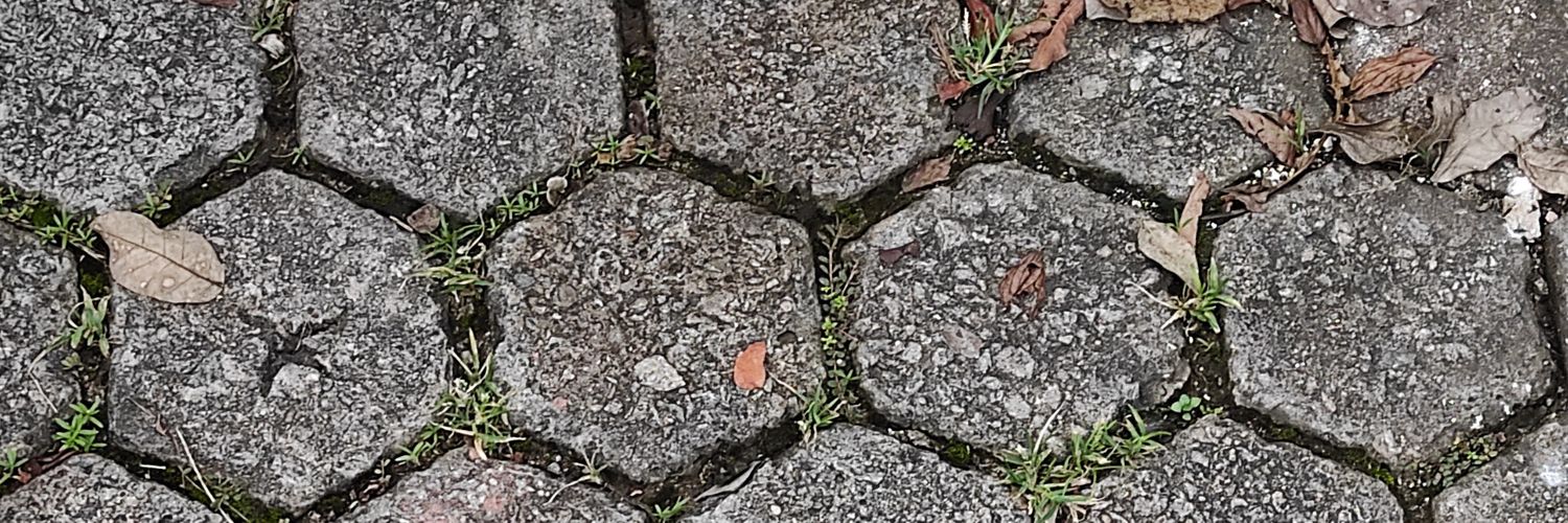 FernandoElpes's profile banner image