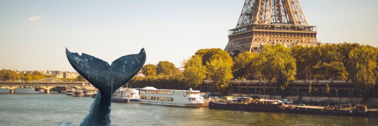 Marie-Pierre Fayant banner