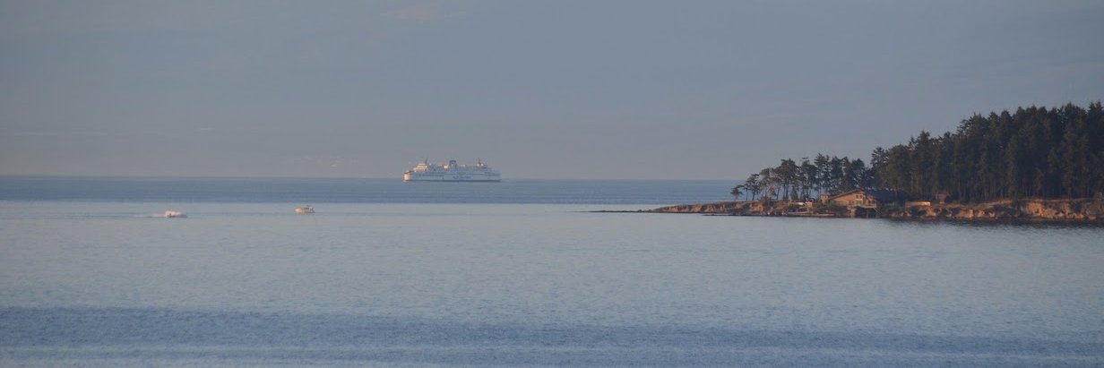 Matthieu Vanni banner