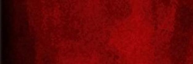 canonerosdecamp's profile banner image